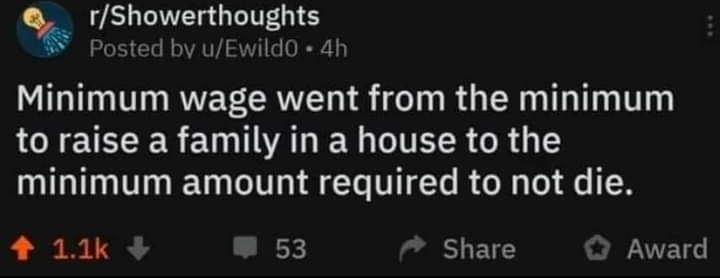This meme is a screenshot of a Reddit post with a humorous commentary on the idea that the minimum wage is not enough to support a family. The text reads: "Minimum wage went from helping you survive to helping you not die."
